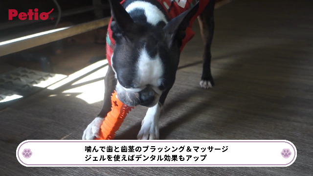 Amazon.co.jp: ペティオ (Petio)犬用おもちゃTREATS LOVER ボーン S